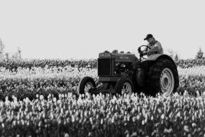 Andelsbevægelsen i Danmark